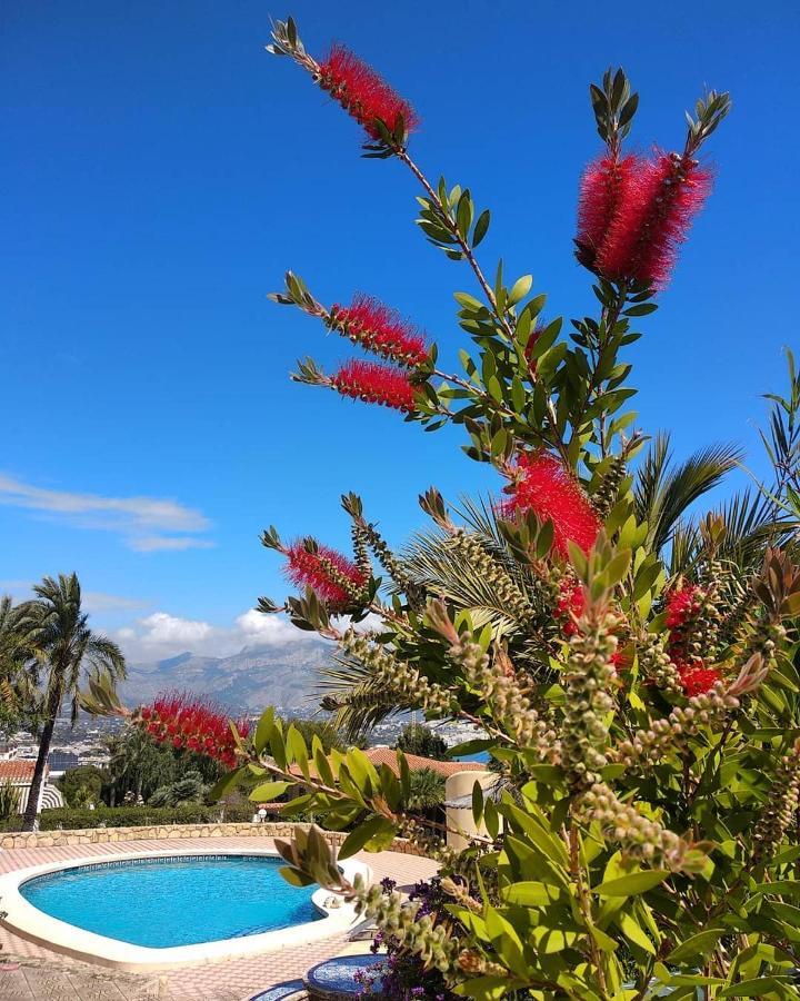 Albir Resort Альбир Экстерьер фото