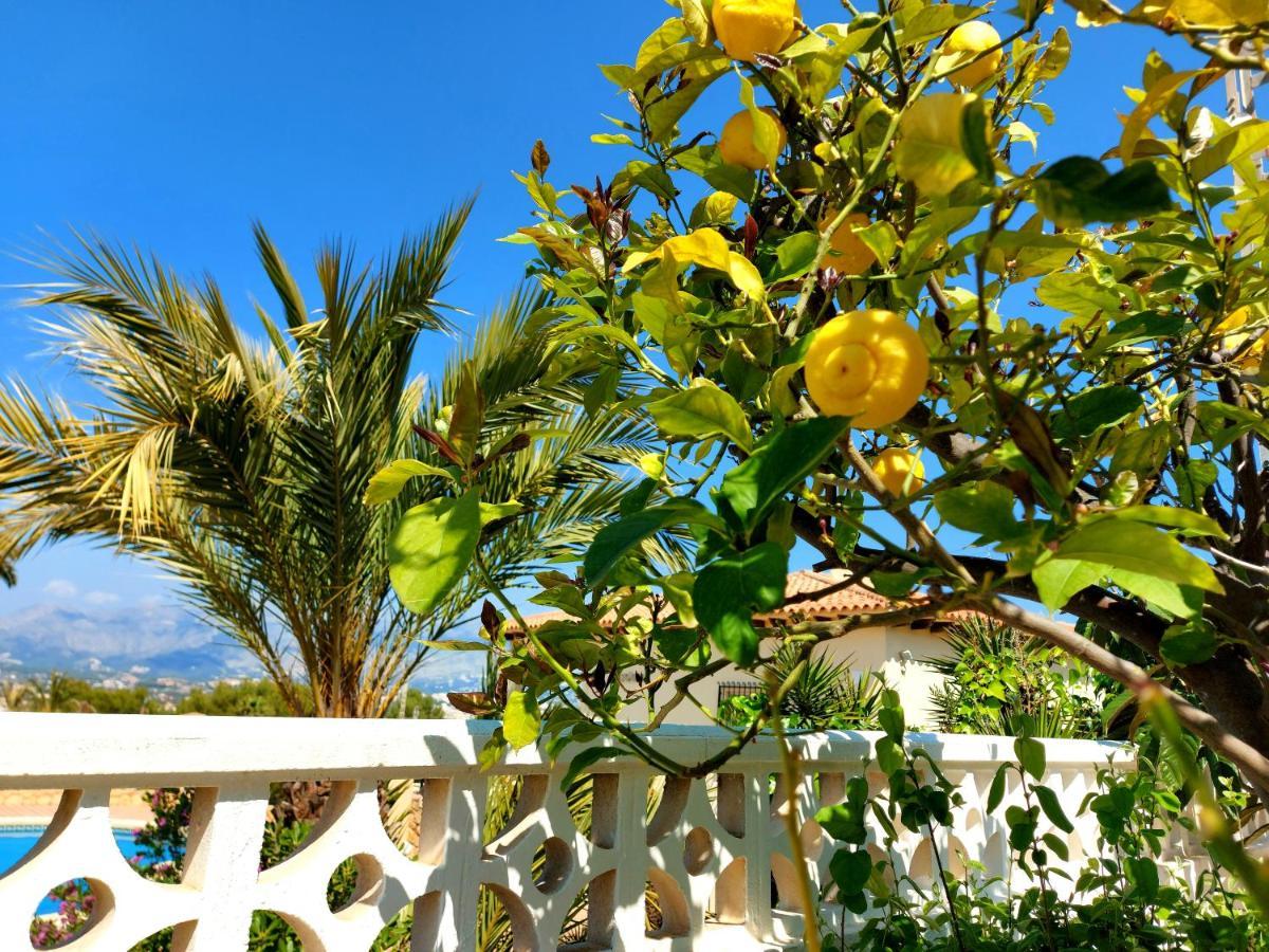 Albir Resort Альбир Экстерьер фото